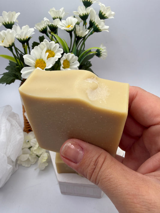 Bastille Soap Bar