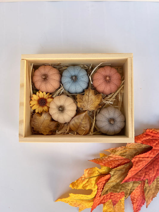 Box of  Soap Pumpkins