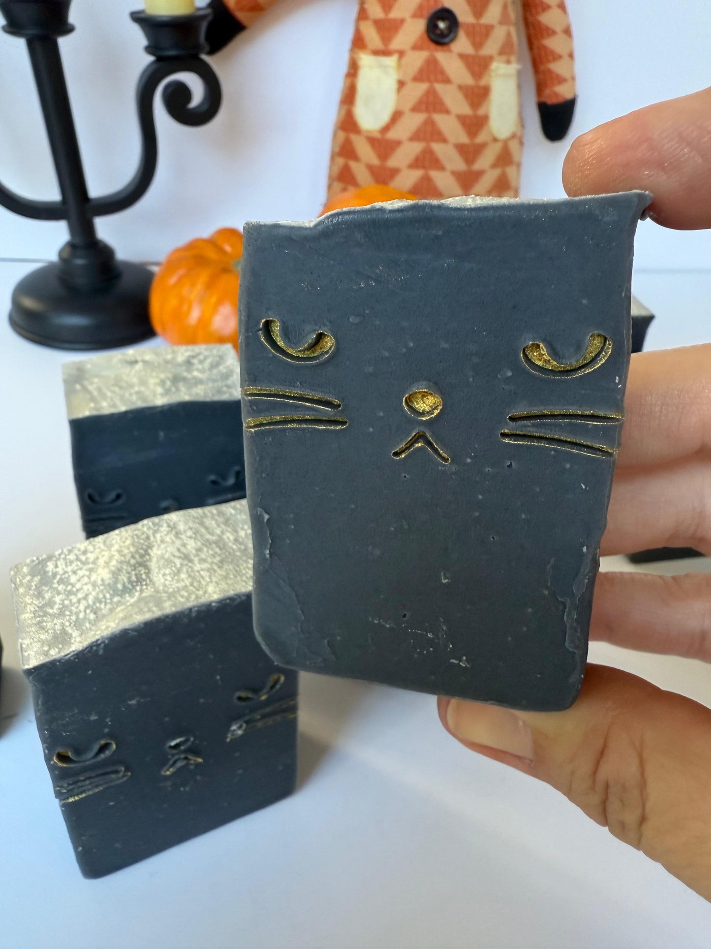 Activated Charcoal Cat